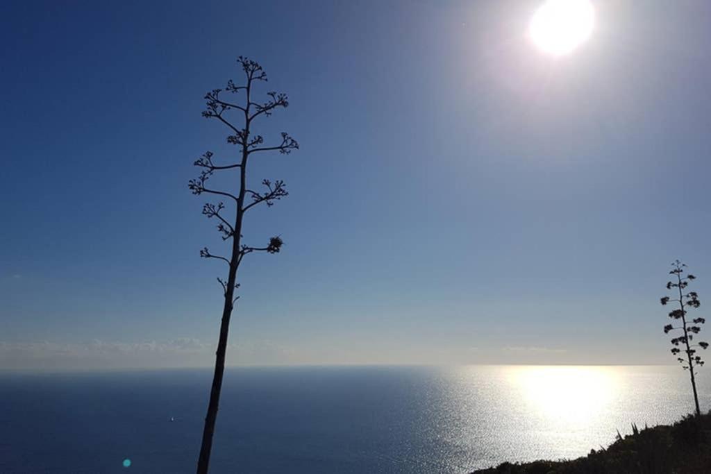 Suite Milu Cagliari Exteriér fotografie