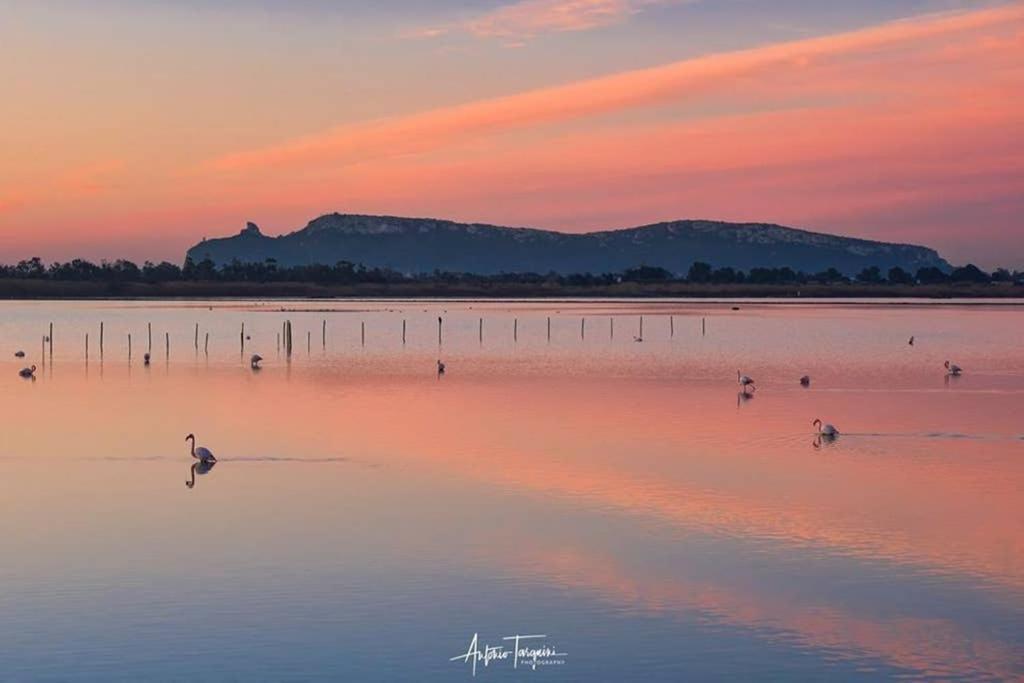 Suite Milu Cagliari Exteriér fotografie